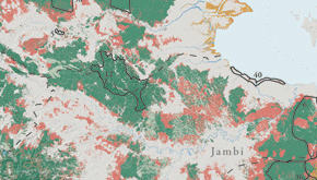 Sumatra Forest Cover Change