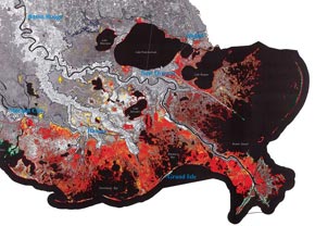Land Change for Coastal Louisiana