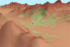 Public Education/Museums    