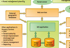 Fast Data Access and Improved Image Management