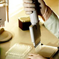 Academic Programs & Research
