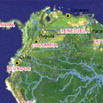 Topographic Organizations