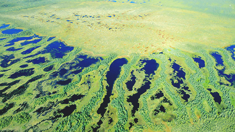 An aerial view of Canada peatlands.