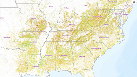A map of the United States highlighting states where forestry is a prominent trade.