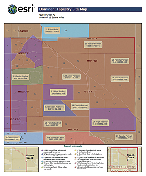 Solutions like Esri Business Analyst and Community Analyst can generate illustrated reports of the results of analysis.