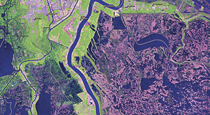 With dynamic image services, users can set properties on image services within web maps and further mine the information content of image services.