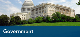 Government