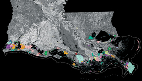 Wetlands Protection and Restoration