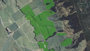 Improving Crop Yield