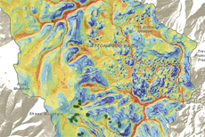 GIS and Ancient Trees Reveal Climate Change