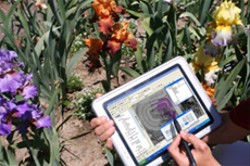 Visit the APGG Web site