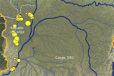 It Must Be Something in the Water