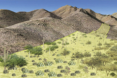 Geodesign and Wildlife Corridors