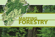 Mapping Forestry