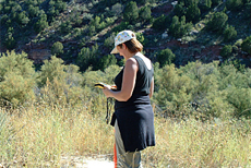 Speeding Access to Forest Data