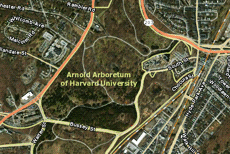 Online Map Application Unlocks Arboretum Collections