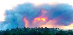High winds and low fuel moisture made fire spread rapidly. 