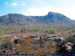 photo of the White Tank Mountains