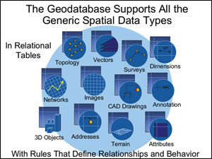 the geodatabase supports all the generic spatial data types
