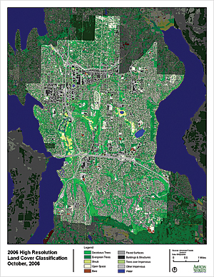 screenshot example of leaf-on image of Bellevue, Washington