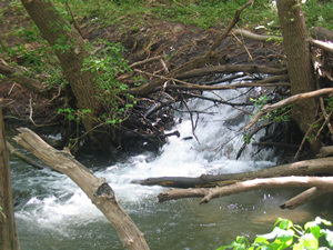 Dry Run Creek (DRC) watershed study area.