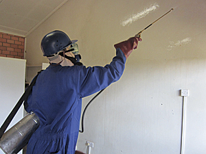Indoor residual spraying is implemented through annual campaigns with 85 percent coverage at the peak malaria transmission period.