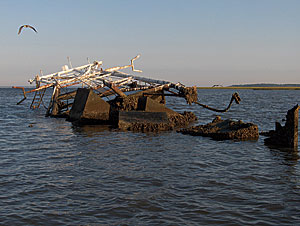 photo of sunken vessel