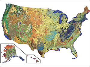 LANDFIRE delivers more than 20 seamless layers at a national extent.