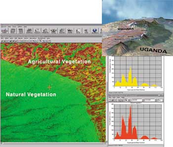 vegetation map and photo as described below left