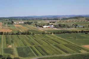 aerial view of the Rodale Institute Experimental Farm