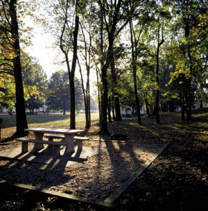 a picnic area in a state park