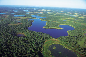 aerial photo of ponds near Rio Negro