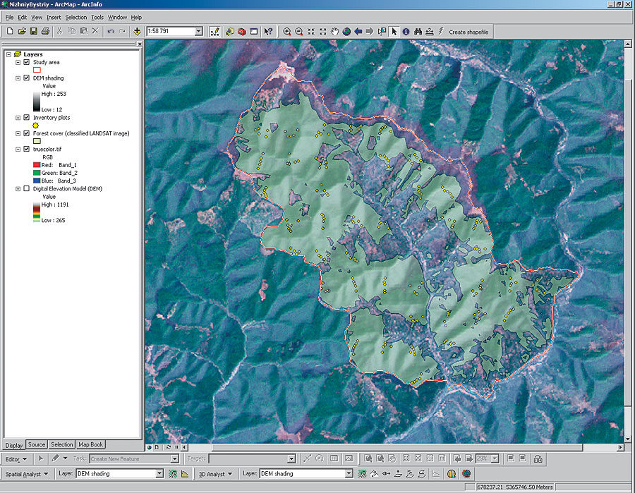 Mapping Forestry Esri Pdf