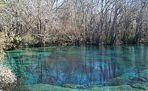 photo of a Floridian aquifer system