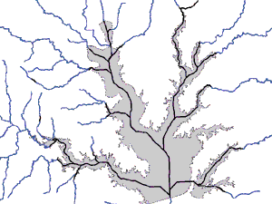 Network representation of Lewisville Lake, Trinity River Basin, Texas