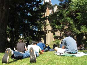 photo of students sunning on lawn
