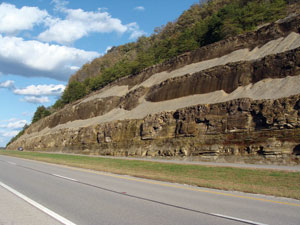 The Devonian Ohio Shale, exposed along Interstate 64 in northeastern Kentucky's Rowan County.