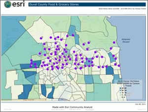 This map explores the location of stores in relation to home values.
