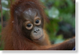 read the article