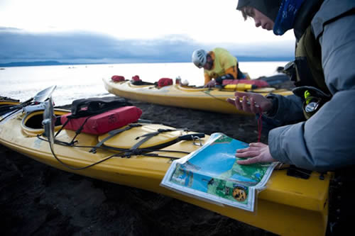 read the article read the article