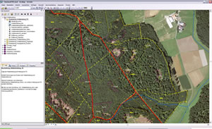 ArcGIS Workflow Manager tools update forest classification processes to add a new resource, orthoprocessing.