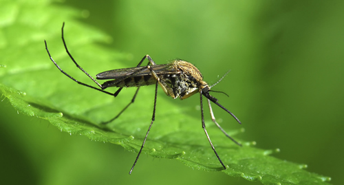 read the article read the article