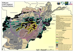 Habitat map for wild goats