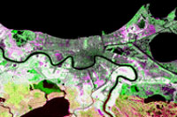 NDVI Change 2000 to 2005