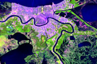 Vegetation Analysis (543) 1990 - 2005