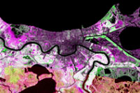 NDVI Change 1975 to 2000