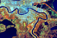 Healthy Vegetation (451) 1990-2005