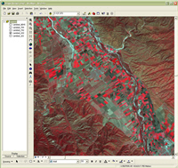 ArcGIS for Server Image Extension - Image Distribution