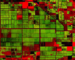 Easily analyze vegetation information using Tasseled Cap services.