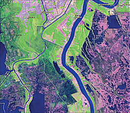 Landsat Imagery